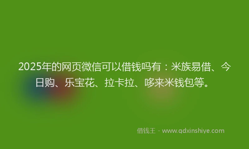 2025年的网页微信可以借钱吗有：米族易借、今日购、乐宝花、拉卡拉、哆来米钱包等。