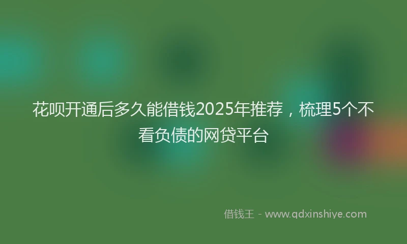 花呗开通后多久能借钱2025年推荐，梳理5个不看负债的网贷平台