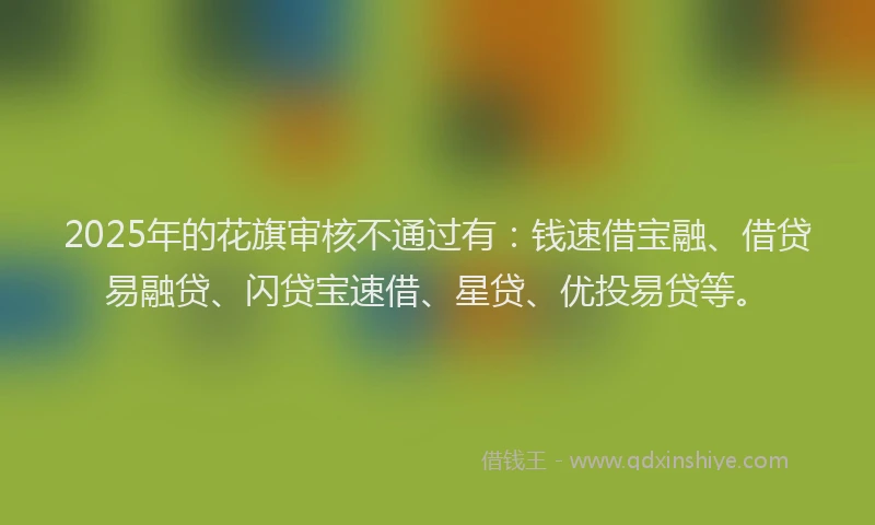 2025年的花旗审核不通过有：钱速借宝融、借贷易融贷、闪贷宝速借、星贷、优投易贷等。