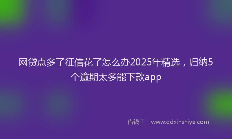 网贷点多了征信花了怎么办2025年精选，归纳5个逾期太多能下款app