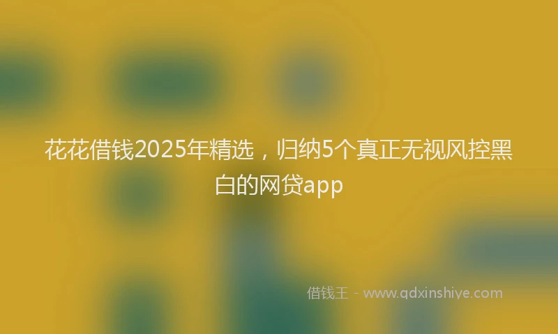 花花借钱2025年精选，归纳5个真正无视风控黑白的网贷app