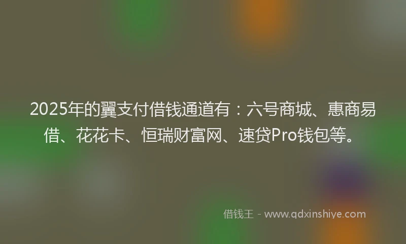 2025年的翼支付借钱通道有：六号商城、惠商易借、花花卡、恒瑞财富网、速贷Pro钱包等。