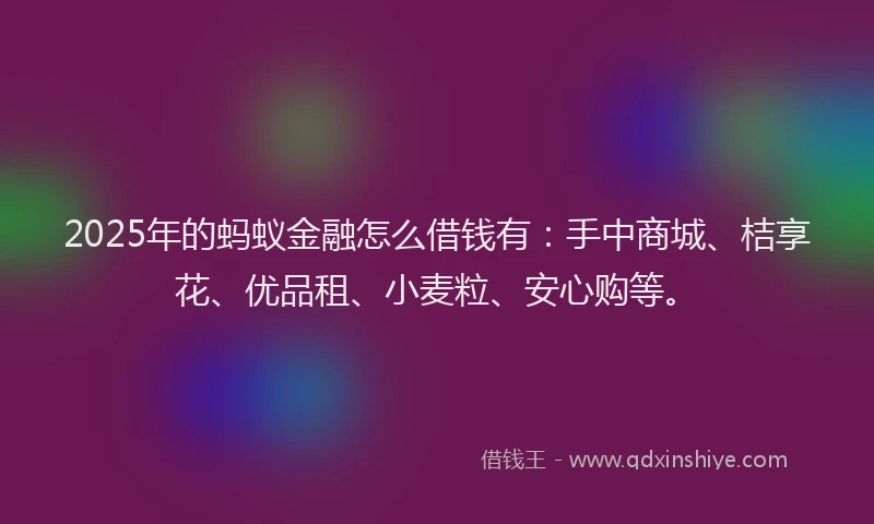 2025年的蚂蚁金融怎么借钱有：手中商城、桔享花、优品租、小麦粒、安心购等。
