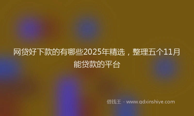 网贷好下款的有哪些2025年精选，整理五个11月能贷款的平台