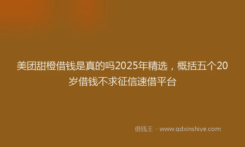 美团甜橙借钱是真的吗2025年精选，概括五个20岁借钱不求征信速借平台