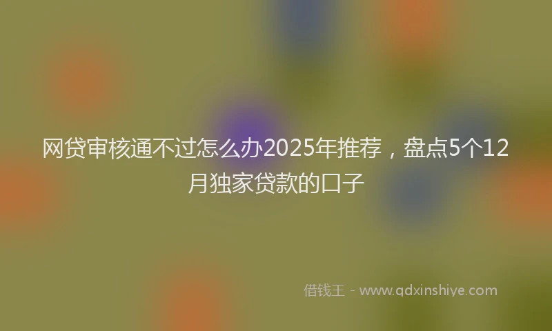 网贷审核通不过怎么办2025年推荐，盘点5个12月独家贷款的口子