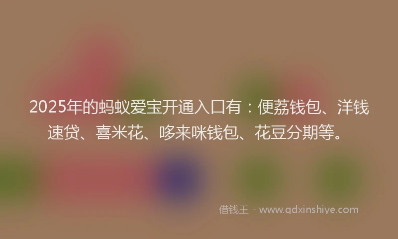 2025年的蚂蚁爱宝开通入口有：便荔钱包、洋钱速贷、喜米花、哆来咪钱包、花豆分期等。
