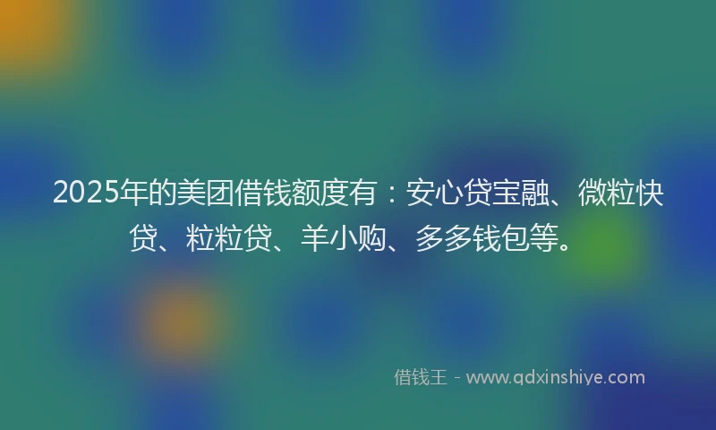 2025年的美团借钱额度有：安心贷宝融、微粒快贷、粒粒贷、羊小购、多多钱包等。