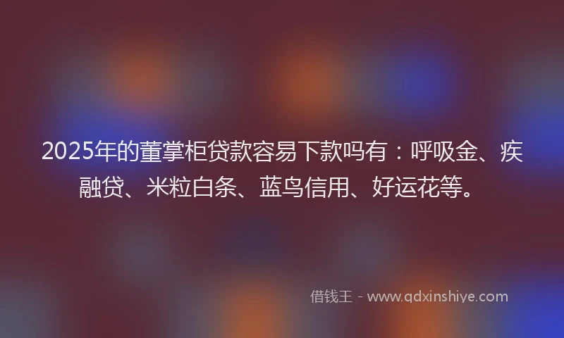2025年的董掌柜贷款容易下款吗有：呼吸金、疾融贷、米粒白条、蓝鸟信用、好运花等。