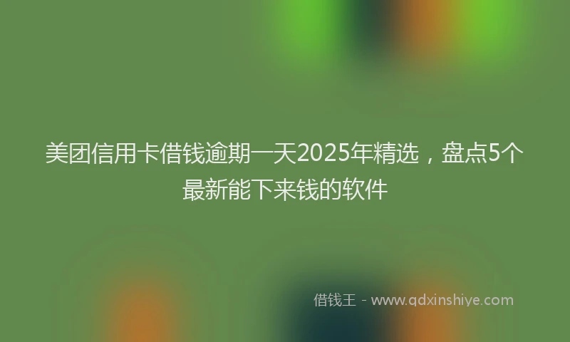 美团信用卡借钱逾期一天2025年精选，盘点5个最新能下来钱的软件