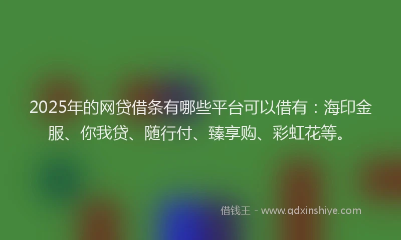 2025年的网贷借条有哪些平台可以借有：海印金服、你我贷、随行付、臻享购、彩虹花等。