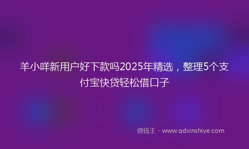 羊小咩新用户好下款吗2025年精选，整理5个支付宝快贷轻松借口子