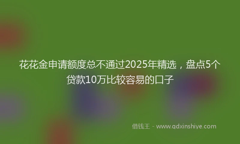 花花金申请额度总不通过2025年精选，盘点5个贷款10万比较容易的口子
