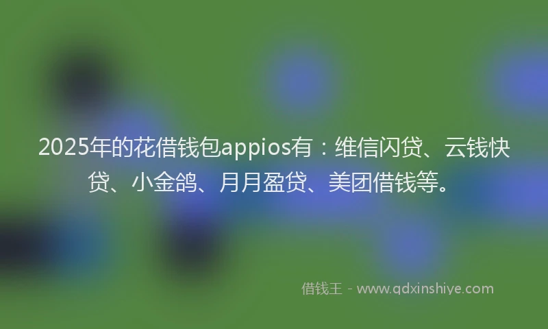 2025年的花借钱包appios有：维信闪贷、云钱快贷、小金鸽、月月盈贷、美团借钱等。