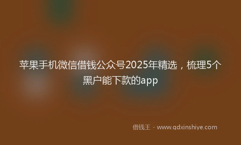 苹果手机微信借钱公众号2025年精选，梳理5个黑户能下款的app
