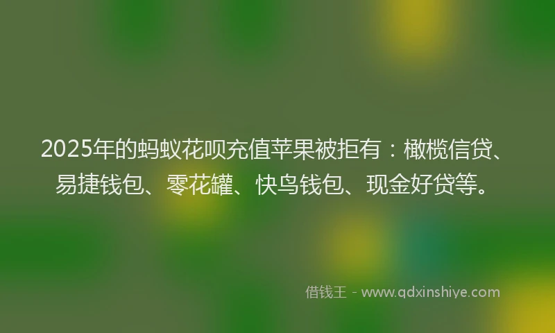 2025年的蚂蚁花呗充值苹果被拒有：橄榄信贷、易捷钱包、零花罐、快鸟钱包、现金好贷等。