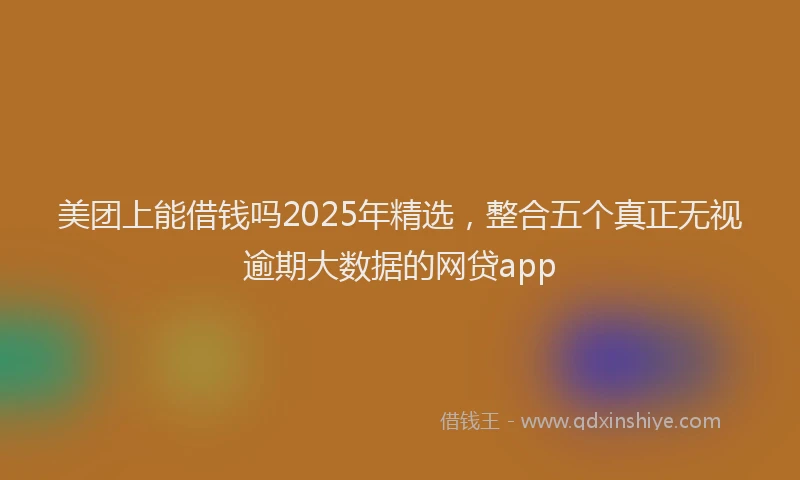 美团上能借钱吗2025年精选，整合五个真正无视逾期大数据的网贷app