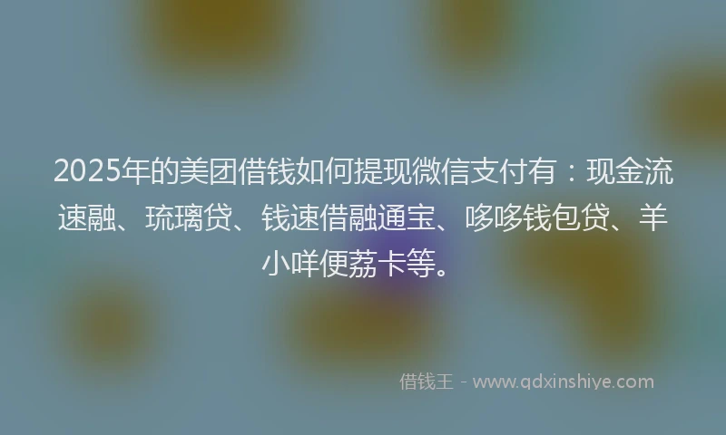 2025年的美团借钱如何提现微信支付有：现金流速融、琉璃贷、钱速借融通宝、哆哆钱包贷、羊小咩便荔卡等。