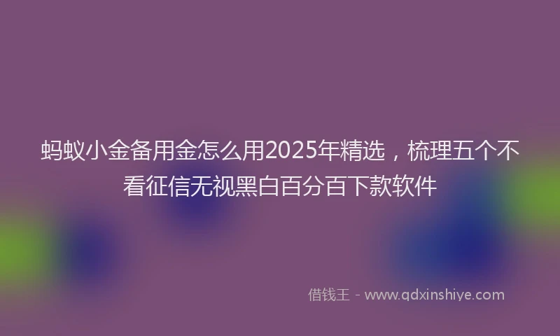 蚂蚁小金备用金怎么用2025年精选，梳理五个不看征信无视黑白百分百下款软件