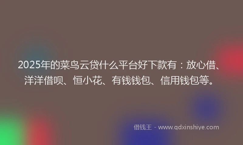 2025年的菜鸟云贷什么平台好下款有：放心借、洋洋借呗、恒小花、有钱钱包、信用钱包等。