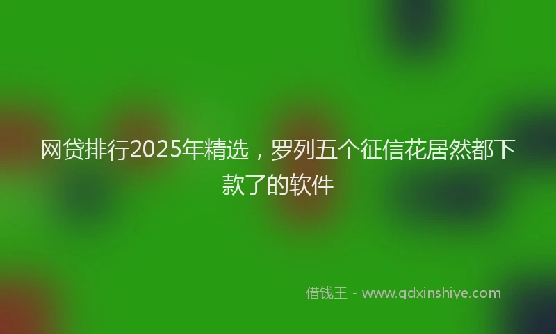 网贷排行2025年精选，罗列五个征信花居然都下款了的软件