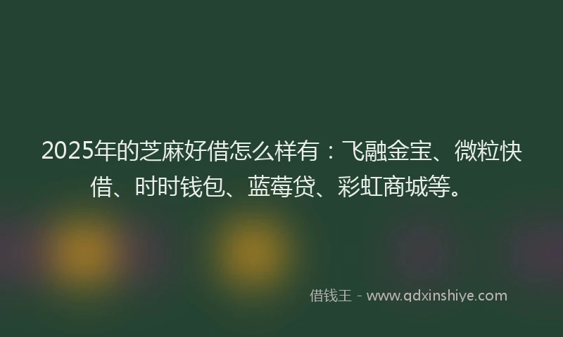 2025年的芝麻好借怎么样有：飞融金宝、微粒快借、时时钱包、蓝莓贷、彩虹商城等。