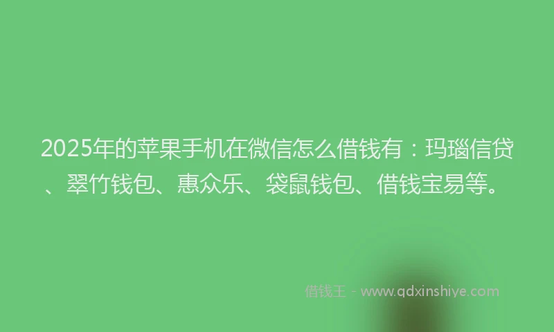 2025年的苹果手机在微信怎么借钱有：玛瑙信贷、翠竹钱包、惠众乐、袋鼠钱包、借钱宝易等。