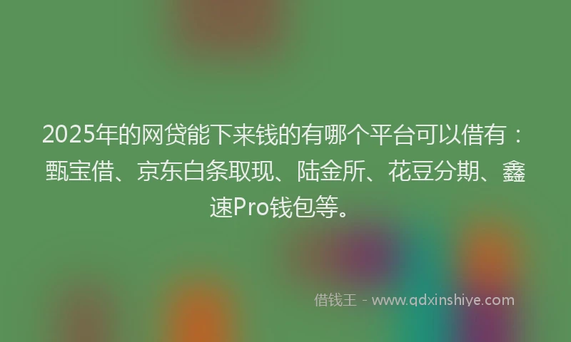 2025年的网贷能下来钱的有哪个平台可以借有：甄宝借、京东白条取现、陆金所、花豆分期、鑫速Pro钱包等。