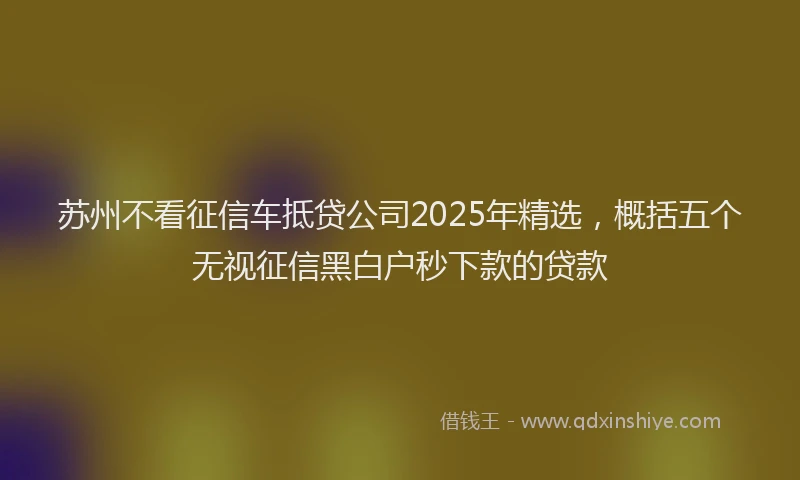 苏州不看征信车抵贷公司2025年精选，概括五个无视征信黑白户秒下款的贷款