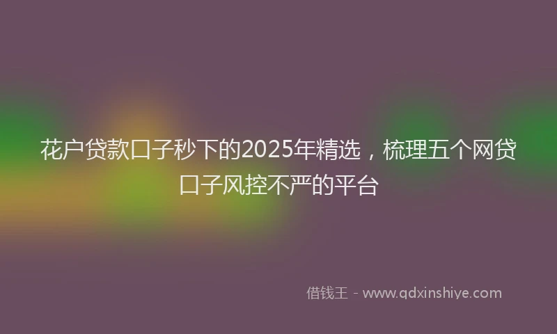 花户贷款口子秒下的2025年精选，梳理五个网贷口子风控不严的平台