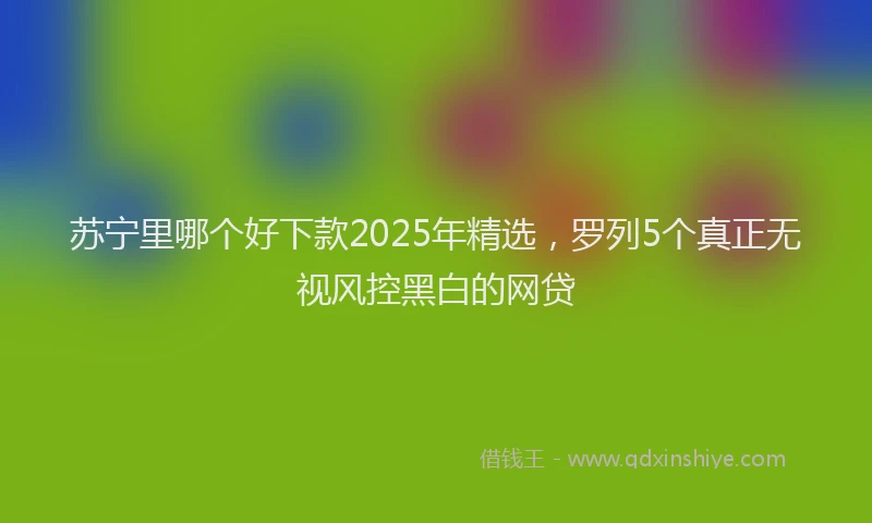 苏宁里哪个好下款2025年精选，罗列5个真正无视风控黑白的网贷