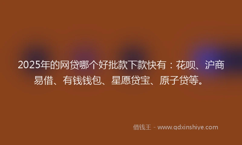 2025年的网贷哪个好批款下款快有：花呗、沪商易借、有钱钱包、星愿贷宝、原子贷等。