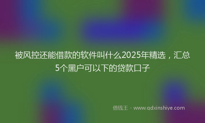 被风控还能借款的软件叫什么2025年精选，汇总5个黑户可以下的贷款口子