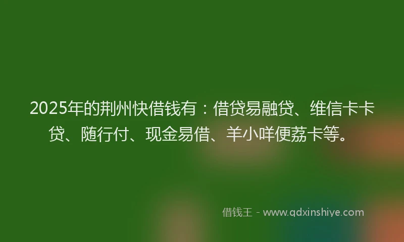 2025年的荆州快借钱有：借贷易融贷、维信卡卡贷、随行付、现金易借、羊小咩便荔卡等。