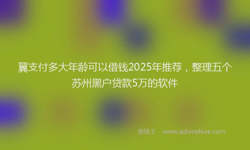 翼支付多大年龄可以借钱2025年推荐，整理五个苏州黑户贷款5万的软件