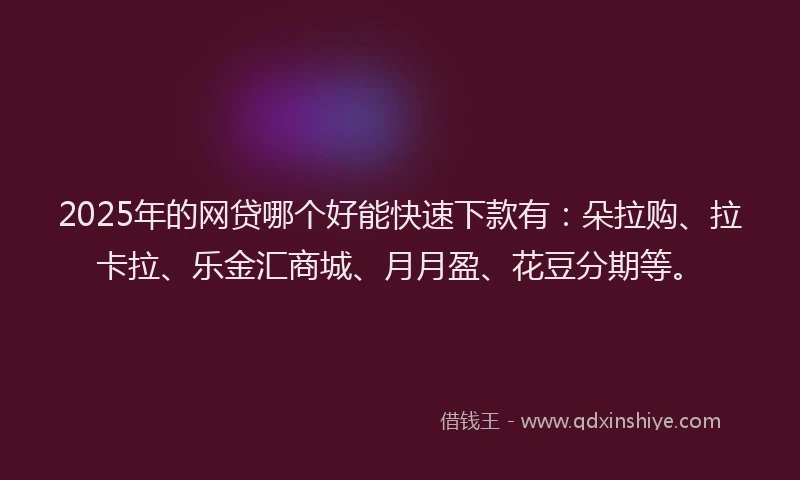2025年的网贷哪个好能快速下款有：朵拉购、拉卡拉、乐金汇商城、月月盈、花豆分期等。
