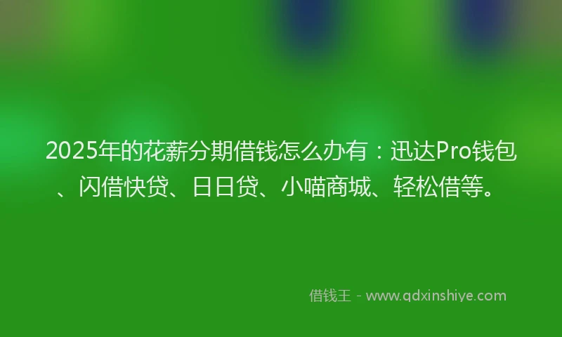 2025年的花薪分期借钱怎么办有：迅达Pro钱包、闪借快贷、日日贷、小喵商城、轻松借等。