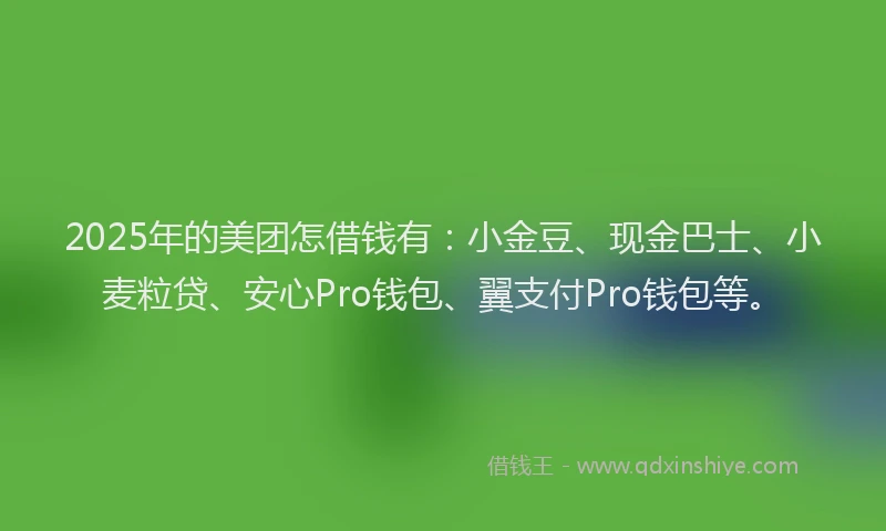 2025年的美团怎借钱有：小金豆、现金巴士、小麦粒贷、安心Pro钱包、翼支付Pro钱包等。