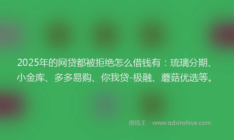2025年的网贷都被拒绝怎么借钱有：琉璃分期、小金库、多多易购、你我贷-极融、蘑菇优选等。