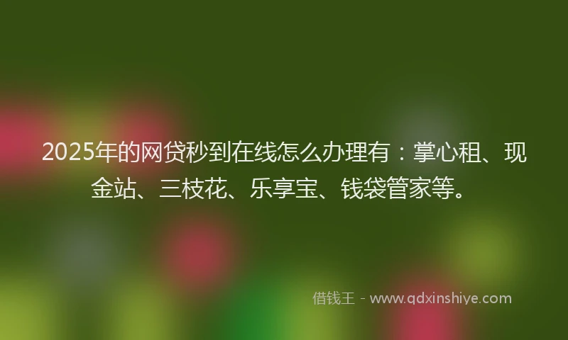 2025年的网贷秒到在线怎么办理有：掌心租、现金站、三枝花、乐享宝、钱袋管家等。