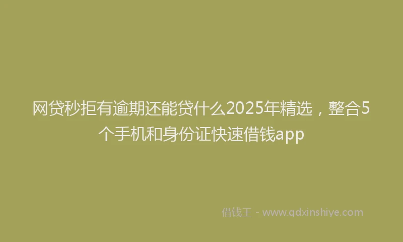 网贷秒拒有逾期还能贷什么2025年精选，整合5个手机和身份证快速借钱app