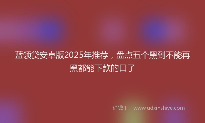蓝领贷安卓版2025年推荐，盘点五个黑到不能再黑都能下款的口子