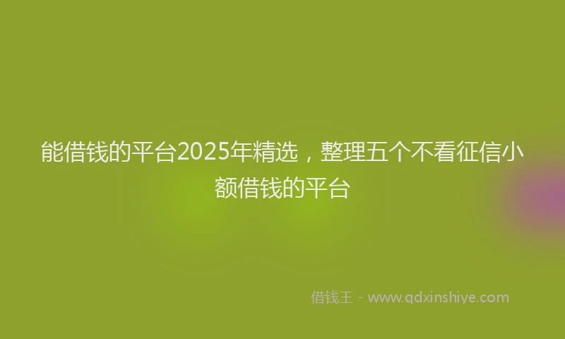 能借钱的平台2025年精选，整理五个不看征信小额借钱的平台