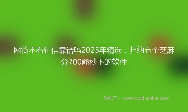 网贷不看征信靠谱吗2025年精选，归纳五个芝麻分700能秒下的软件
