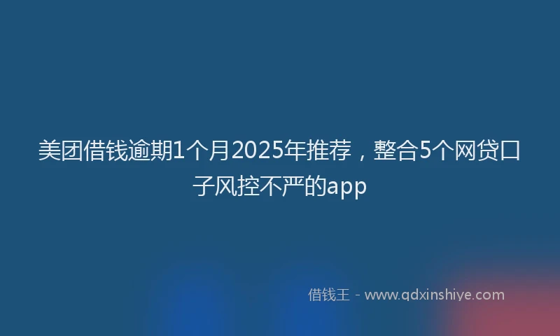 美团借钱逾期1个月2025年推荐，整合5个网贷口子风控不严的app