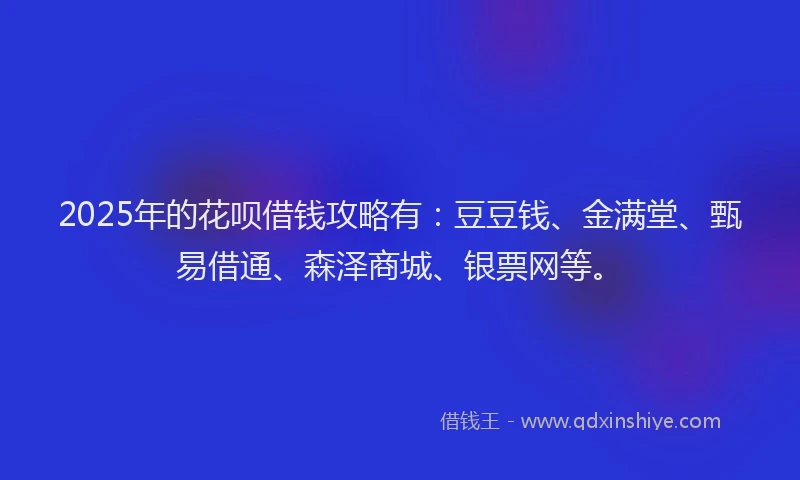 2025年的花呗借钱攻略有：豆豆钱、金满堂、甄易借通、森泽商城、银票网等。