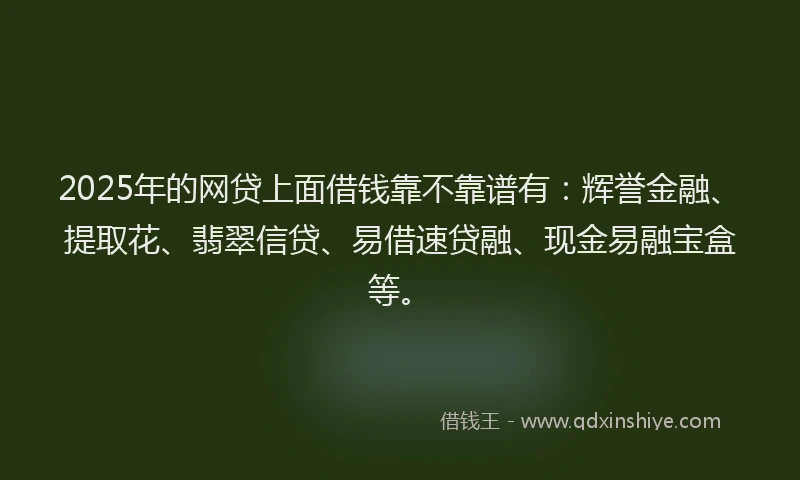 2025年的网贷上面借钱靠不靠谱有：辉誉金融、提取花、翡翠信贷、易借速贷融、现金易融宝盒等。