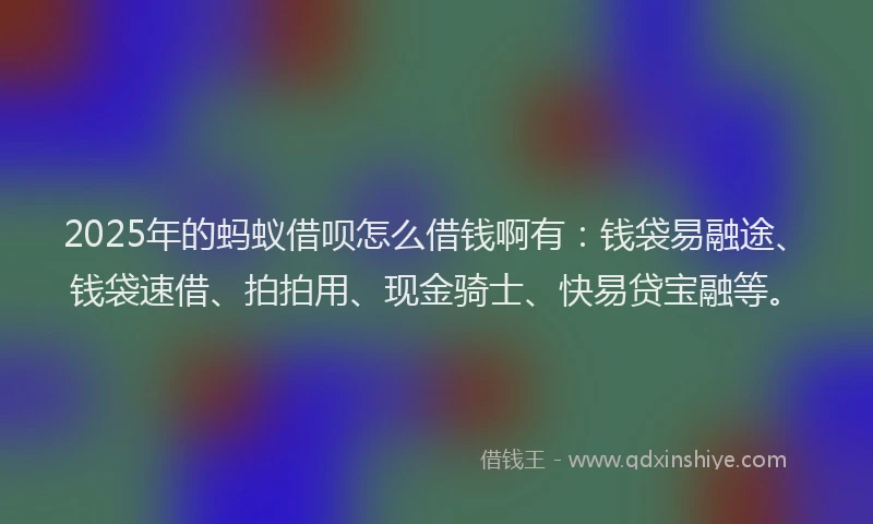 2025年的蚂蚁借呗怎么借钱啊有：钱袋易融途、钱袋速借、拍拍用、现金骑士、快易贷宝融等。