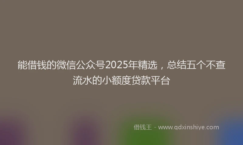 能借钱的微信公众号2025年精选，总结五个不查流水的小额度贷款平台