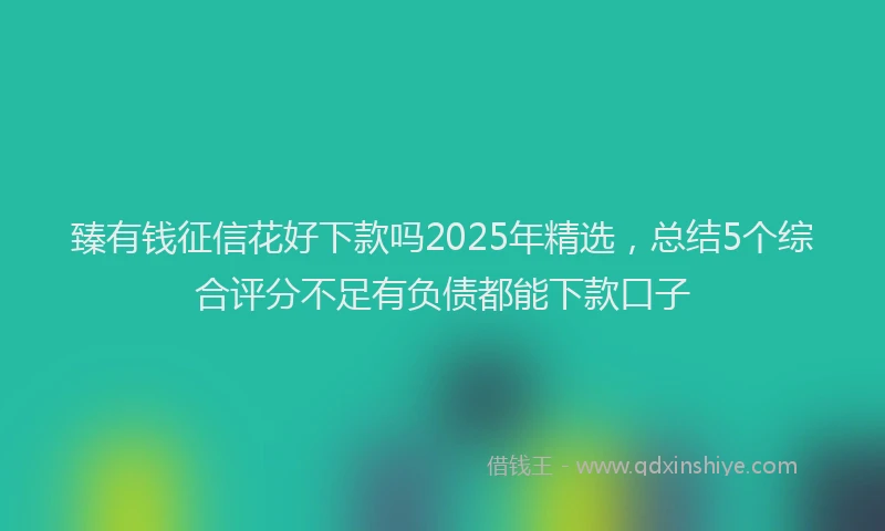 臻有钱征信花好下款吗2025年精选，总结5个综合评分不足有负债都能下款口子